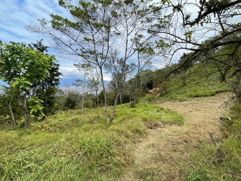 Lote-en-venta-San-Antonio-de-Escazu-espectacular-vista-al-valle-central-1.jpeg
