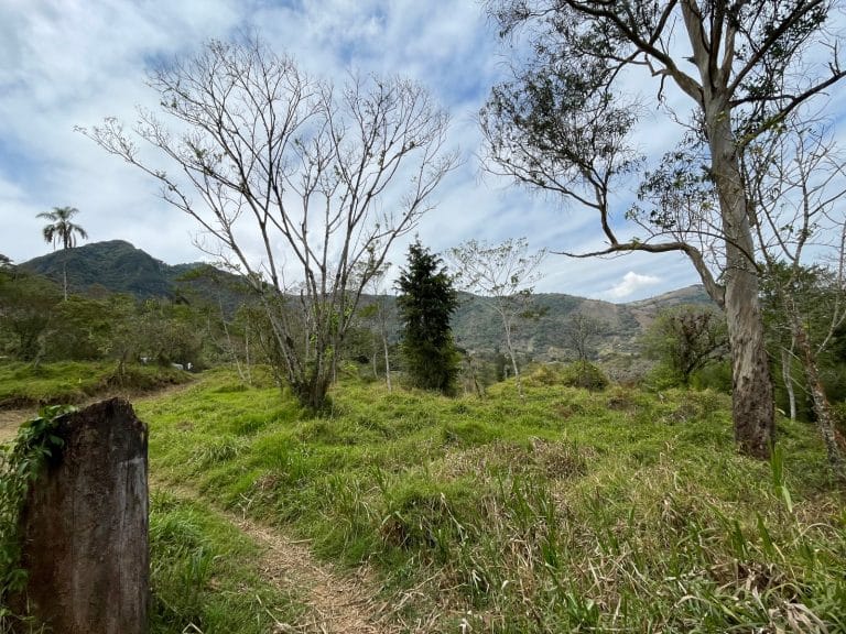 Lote-en-venta-San-Antonio-de-Escazu-espectacular-vista-al-valle-central-4.jpeg