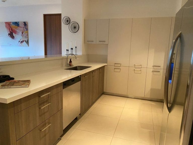 cocina-2-apartamento-en-Distrito-4-para-alquiler-completamente-amueblado.jpeg