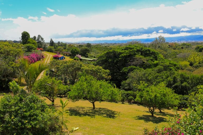 finca-hacienda-cafetalera-en-venta-santa-barbara-de-heredia-coffee-estate-farm-for-sale-costa-rica-6.jpg