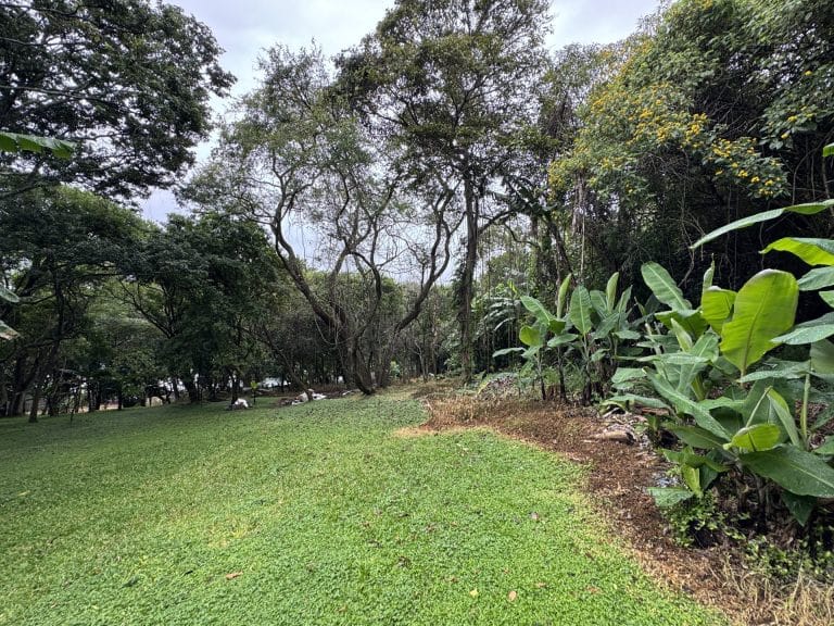 terreno propiedad para desarrollar tibas alta densidad 1