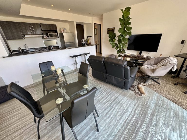 apartamento 1 dormitorio en venta vistas de nunciatura rohrmoser 2