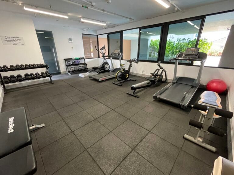 tribeca rohrmoser gimnasio 2 copy